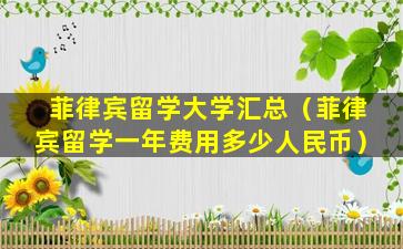 菲律宾留学大学汇总（菲律宾留学一年费用多少人民币）