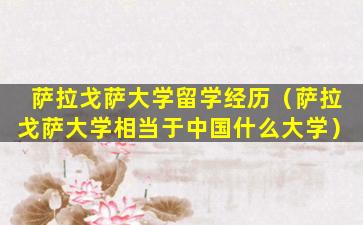 萨拉戈萨大学留学经历（萨拉戈萨大学相当于中国什么大学）