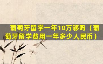 葡萄牙留学一年10万够吗（葡萄牙留学费用一年多少人民币）