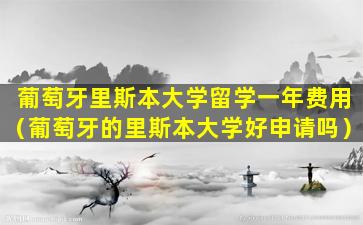 葡萄牙里斯本大学留学一年费用（葡萄牙的里斯本大学好申请吗）