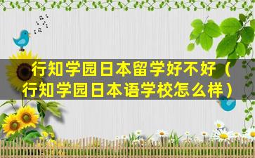 行知学园日本留学好不好（行知学园日本语学校怎么样）