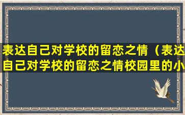 表达自己对学校的留恋之情（表达自己对学校的留恋之情校园里的小树你可还记得）