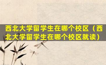西北大学留学生在哪个校区（西北大学留学生在哪个校区就读）