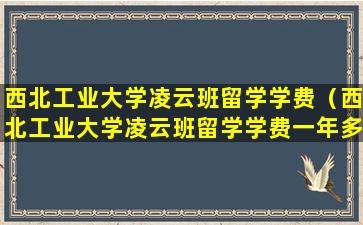 西北工业大学凌云班留学学费（西北工业大学凌云班留学学费一年多少）