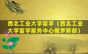 西北工业大学留学（西北工业大学留学服务中心俄罗斯部）