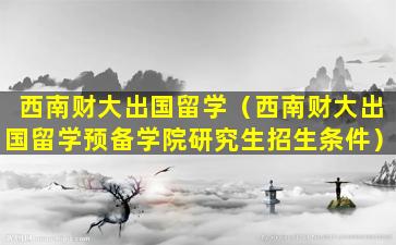 西南财大出国留学（西南财大出国留学预备学院研究生招生条件）