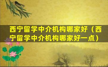 西宁留学中介机构哪家好（西宁留学中介机构哪家好一点）