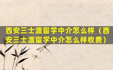 西安三士渡留学中介怎么样（西安三士渡留学中介怎么样收费）