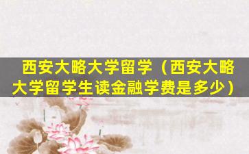 西安大略大学留学（西安大略大学留学生读金融学费是多少）