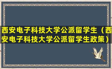 西安电子科技大学公派留学生（西安电子科技大学公派留学生政策）