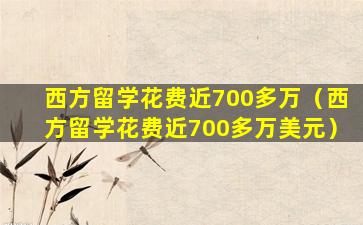 西方留学花费近700多万（西方留学花费近700多万美元）