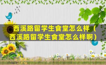 西溪路留学生食堂怎么样（西溪路留学生食堂怎么样啊）
