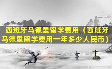 西班牙马德里留学费用（西班牙马德里留学费用一年多少人民币）