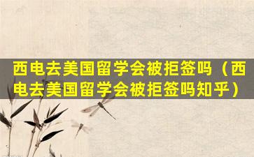 西电去美国留学会被拒签吗（西电去美国留学会被拒签吗知乎）