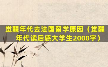 觉醒年代去法国留学原因（觉醒年代读后感大学生2000字）