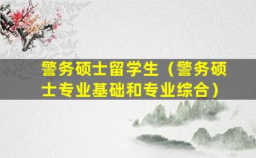 警务硕士留学生（警务硕士专业基础和专业综合）