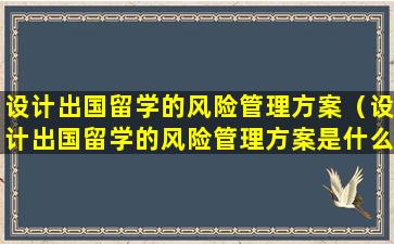 设计出国留学的风险管理方案（设计出国留学的风险管理方案是什么）