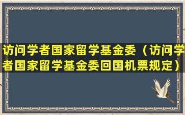 访问学者国家留学基金委（访问学者国家留学基金委回国机票规定）