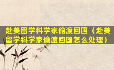赴美留学科学家偷渡回国（赴美留学科学家偷渡回国怎么处理）
