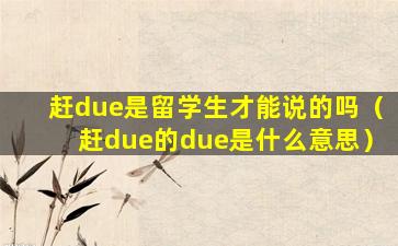 赶due是留学生才能说的吗（赶due的due是什么意思）