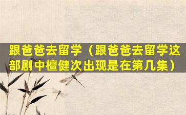 跟爸爸去留学（跟爸爸去留学这部剧中檀健次出现是在第几集）