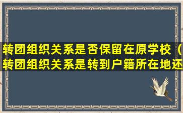 转团组织关系是否保留在原学校（转团组织关系是转到户籍所在地还是现居住地）