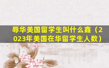 辱华美国留学生叫什么鑫（2023年美国在华留学生人数）