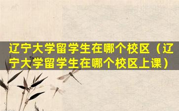 辽宁大学留学生在哪个校区（辽宁大学留学生在哪个校区上课）