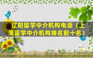辽阳留学中介机构电话（上海留学中介机构排名前十名）