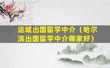 运城出国留学中介（哈尔滨出国留学中介哪家好）