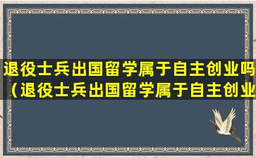 退役士兵出国留学属于自主创业吗（退役士兵出国留学属于自主创业吗还是外籍）