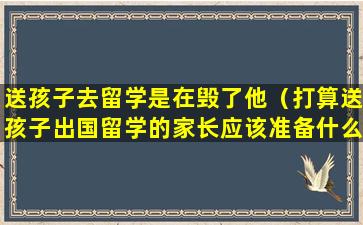 送孩子去留学是在毁了他（打算送孩子出国留学的家长应该准备什么）
