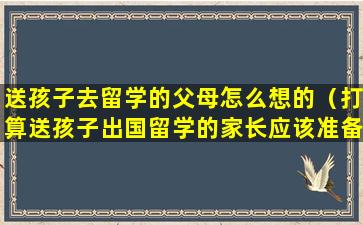 送孩子去留学的父母怎么想的（打算送孩子出国留学的家长应该准备什么）