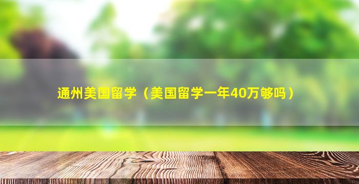 通州美国留学（美国留学一年40万够吗）