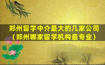 郑州留学中介最大的几家公司（郑州哪家留学机构最专业）