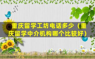 重庆留学工坊电话多少（重庆留学中介机构哪个比较好）