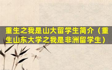 重生之我是山大留学生简介（重生山东大学之我是非洲留学生）