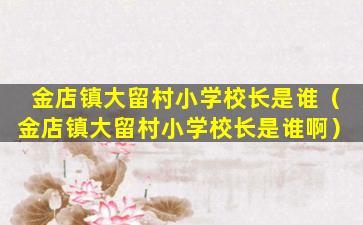金店镇大留村小学校长是谁（金店镇大留村小学校长是谁啊）