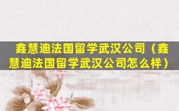 鑫慧迪法国留学武汉公司（鑫慧迪法国留学武汉公司怎么样）
