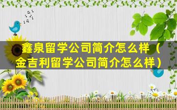 鑫泉留学公司简介怎么样（金吉利留学公司简介怎么样）