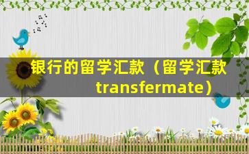 银行的留学汇款（留学汇款transfermate）