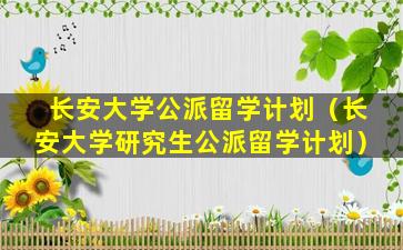 长安大学公派留学计划（长安大学研究生公派留学计划）