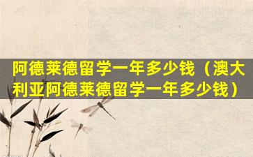 阿德莱德留学一年多少钱（澳大利亚阿德莱德留学一年多少钱）