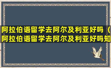 阿拉伯语留学去阿尔及利亚好吗（阿拉伯语留学去阿尔及利亚好吗知乎）