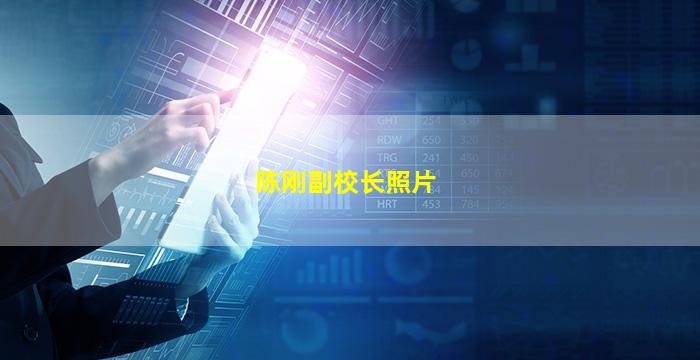 陈刚副校长照片
