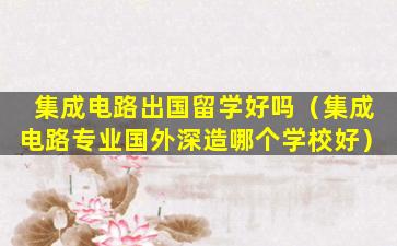 集成电路出国留学好吗（集成电路专业国外深造哪个学校好）