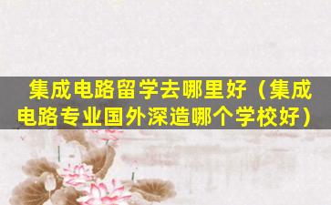 集成电路留学去哪里好（集成电路专业国外深造哪个学校好）