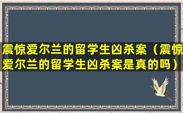 震惊爱尔兰的留学生凶杀案（震惊爱尔兰的留学生凶杀案是真的吗）