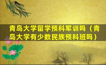 青岛大学留学预科军训吗（青岛大学有少数民族预科班吗）