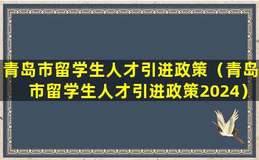青岛市留学生人才引进政策（青岛市留学生人才引进政策2024）